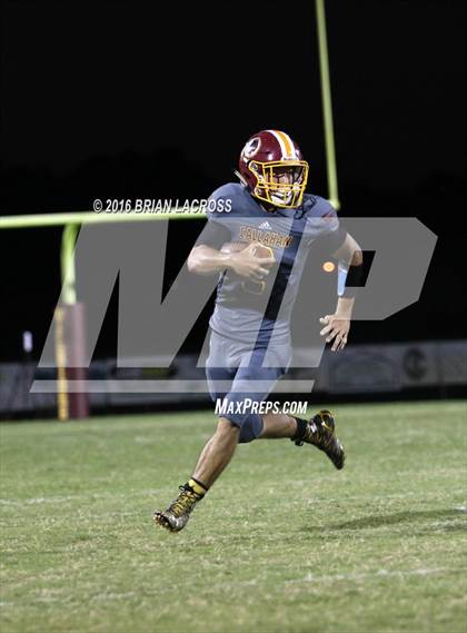 Thumbnail 3 in Bolles @ West Nassau photogallery.