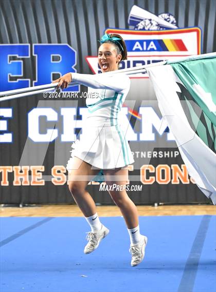 Thumbnail 2 in Highland - Cheer Game Day Championships (AIA Division I)  photogallery.