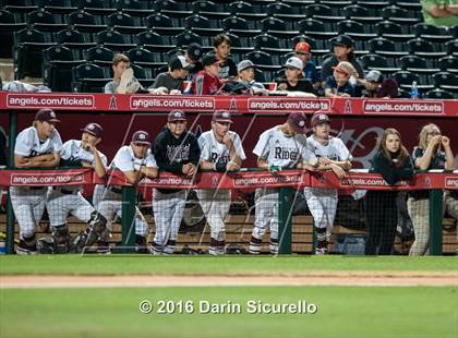 Thumbnail 1 in Mountain Ridge vs. Mountain Pointe (AIA D1 Playoff) photogallery.