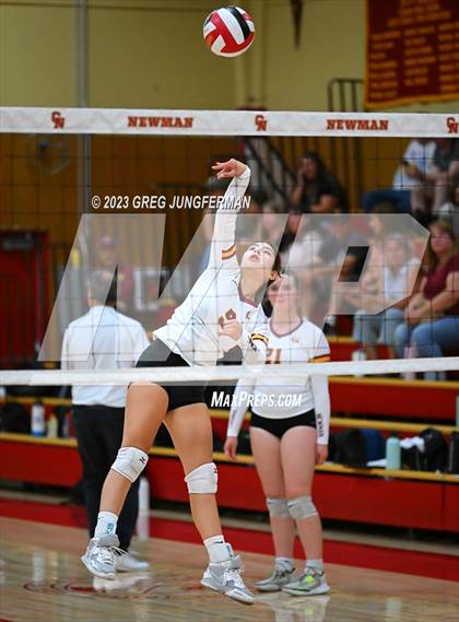 Thumbnail 1 in Ukiah @ Cardinal Newman photogallery.