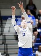 Photo from the gallery "Basha @ Chandler"