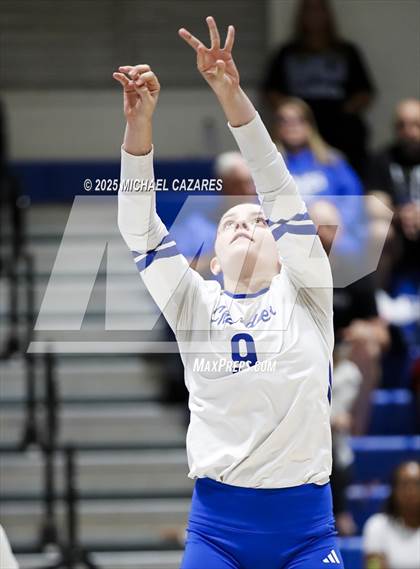 Thumbnail 3 in JV: Basha @ Chandler photogallery.