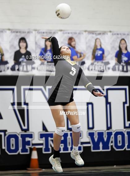 Thumbnail 1 in JV: Basha @ Chandler photogallery.