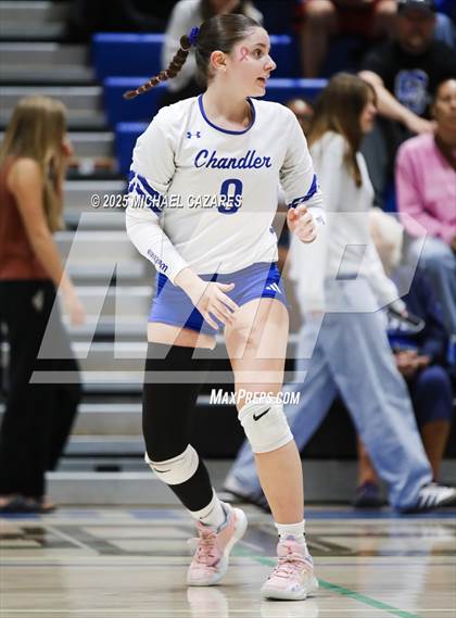 Thumbnail 2 in JV: Basha @ Chandler photogallery.
