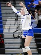 Photo from the gallery "Basha @ Chandler"
