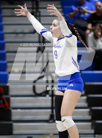 Thumbnail 2 in JV: Basha @ Chandler photogallery.