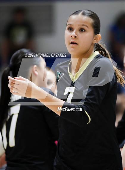 Thumbnail 3 in JV: Basha @ Chandler photogallery.