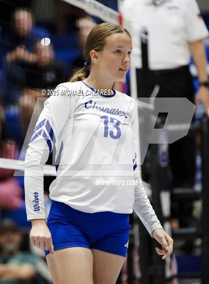Thumbnail 2 in JV: Basha @ Chandler photogallery.