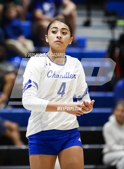Thumbnail 1 in JV: Basha @ Chandler photogallery.