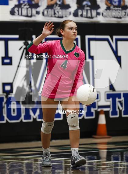 Thumbnail 3 in JV: Basha @ Chandler photogallery.