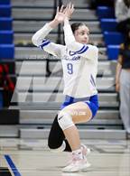 Photo from the gallery "Basha @ Chandler"