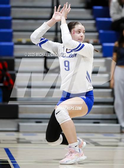 Thumbnail 3 in JV: Basha @ Chandler photogallery.