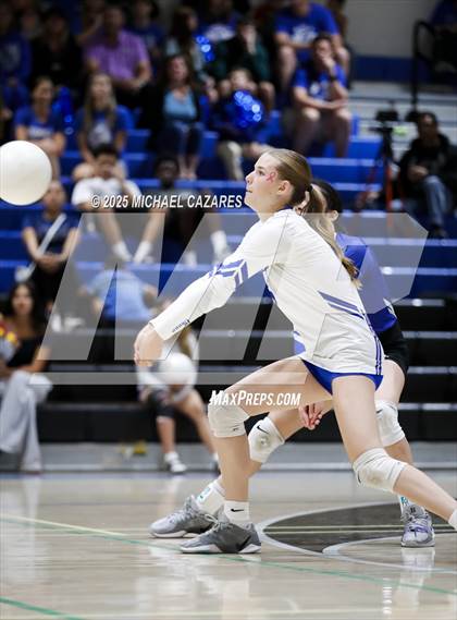 Thumbnail 3 in JV: Basha @ Chandler photogallery.