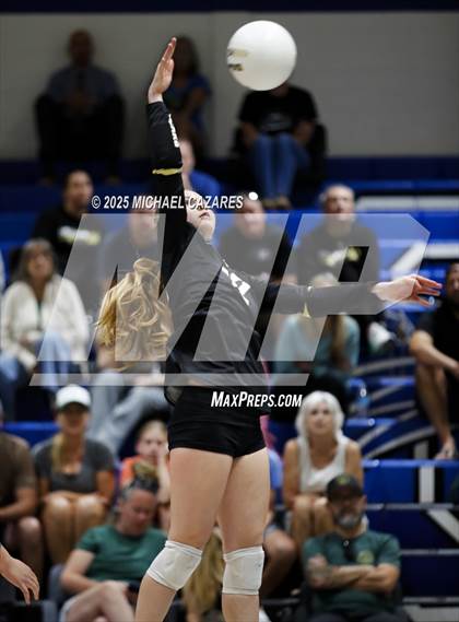 Thumbnail 2 in JV: Basha @ Chandler photogallery.