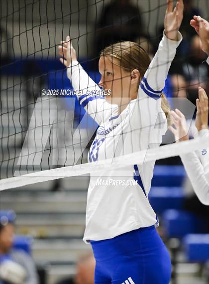 Thumbnail 1 in JV: Basha @ Chandler photogallery.