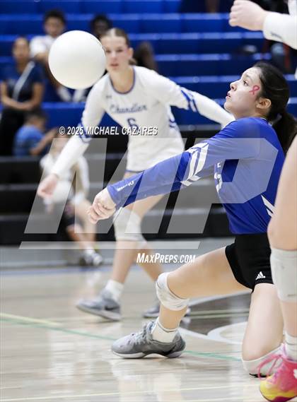 Thumbnail 2 in JV: Basha @ Chandler photogallery.