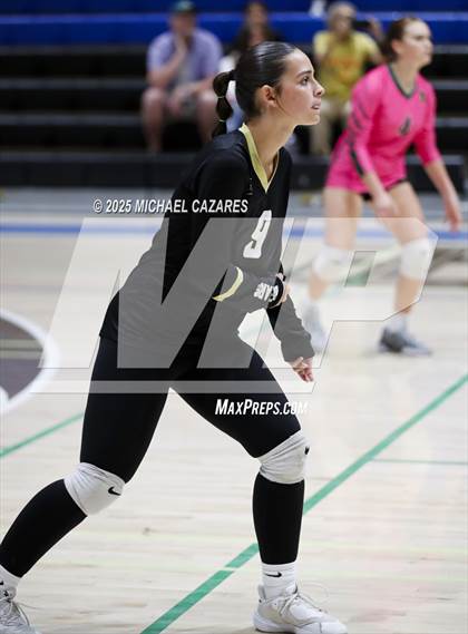 Thumbnail 1 in JV: Basha @ Chandler photogallery.