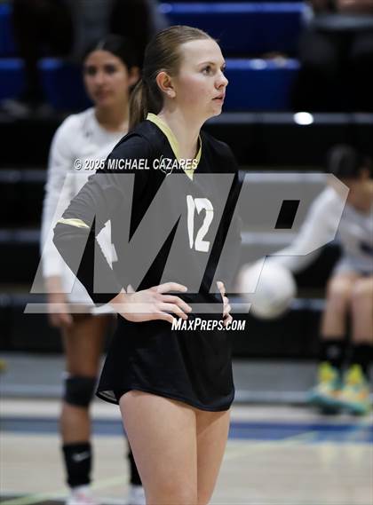 Thumbnail 3 in JV: Basha @ Chandler photogallery.