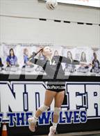 Photo from the gallery "Basha @ Chandler"