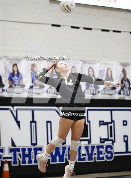 Thumbnail 3 in JV: Basha @ Chandler photogallery.
