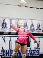 Photo from the gallery "Basha @ Chandler"