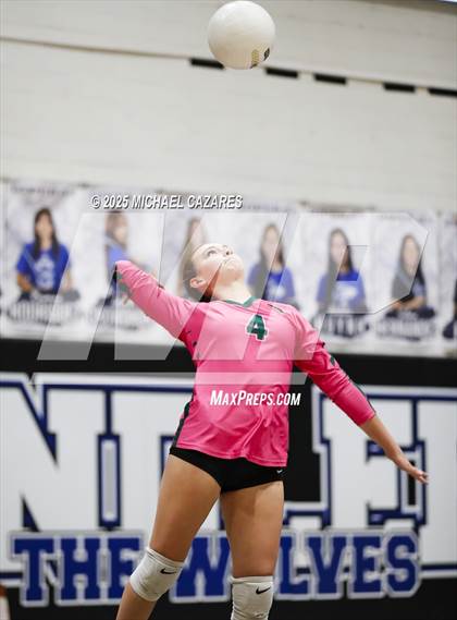 Thumbnail 1 in JV: Basha @ Chandler photogallery.