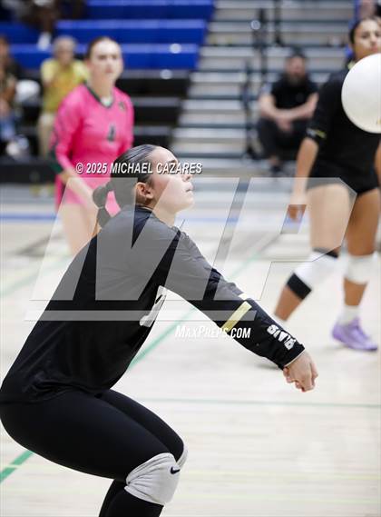 Thumbnail 2 in JV: Basha @ Chandler photogallery.