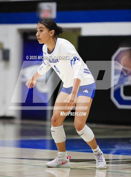 Thumbnail 3 in JV: Basha @ Chandler photogallery.