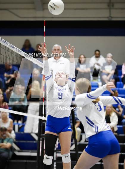 Thumbnail 1 in JV: Basha @ Chandler photogallery.