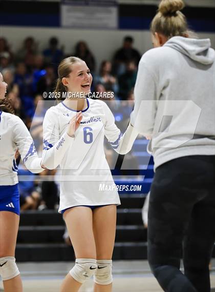 Thumbnail 2 in JV: Basha @ Chandler photogallery.