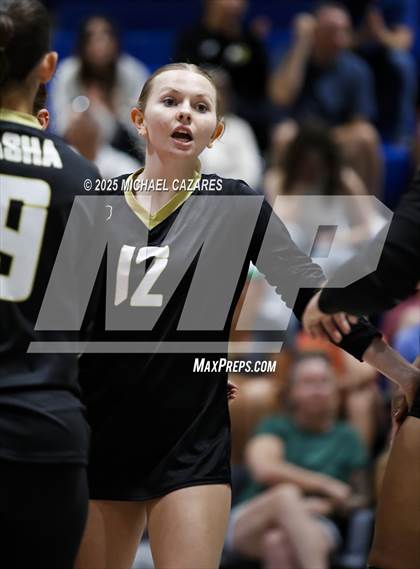 Thumbnail 1 in JV: Basha @ Chandler photogallery.