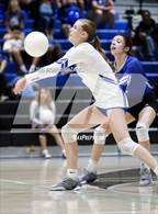 Photo from the gallery "Basha @ Chandler"