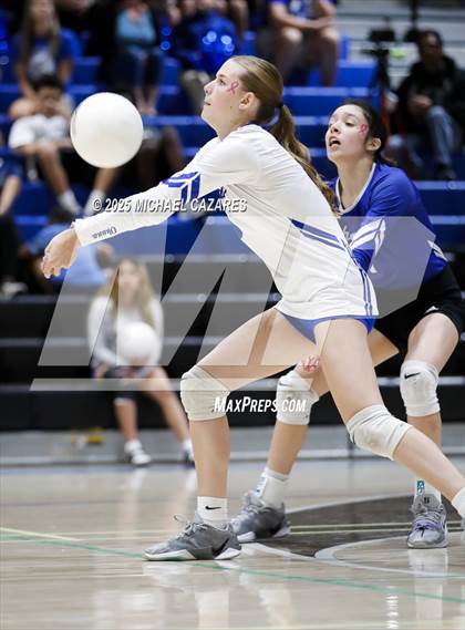 Thumbnail 1 in JV: Basha @ Chandler photogallery.