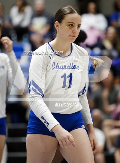 Thumbnail 3 in JV: Basha @ Chandler photogallery.