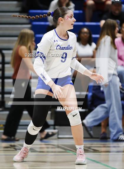 Thumbnail 3 in JV: Basha @ Chandler photogallery.