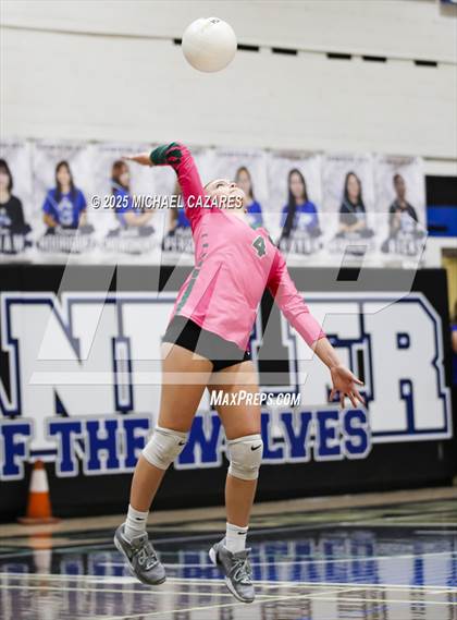 Thumbnail 2 in JV: Basha @ Chandler photogallery.