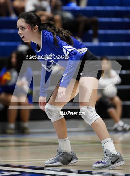 Thumbnail 3 in JV: Basha @ Chandler photogallery.