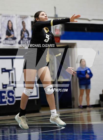 Thumbnail 1 in JV: Basha @ Chandler photogallery.