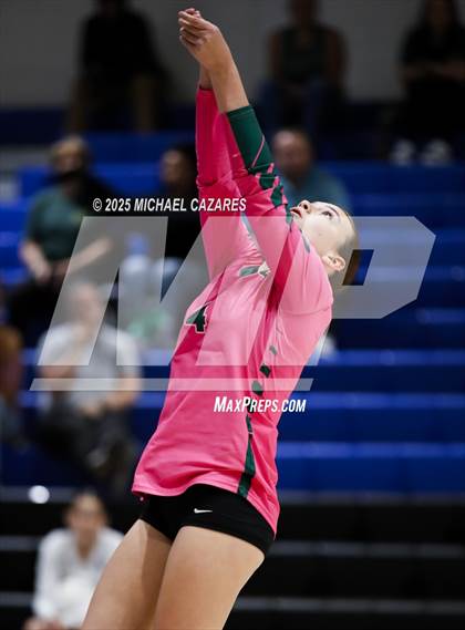 Thumbnail 3 in JV: Basha @ Chandler photogallery.