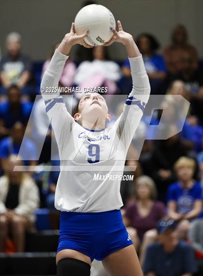 Thumbnail 3 in JV: Basha @ Chandler photogallery.