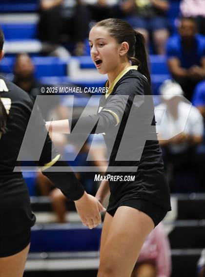 Thumbnail 2 in JV: Basha @ Chandler photogallery.