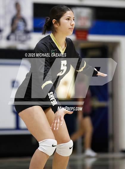 Thumbnail 2 in JV: Basha @ Chandler photogallery.