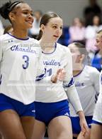 Photo from the gallery "Basha @ Chandler"