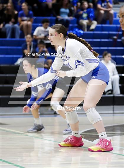 Thumbnail 1 in JV: Basha @ Chandler photogallery.