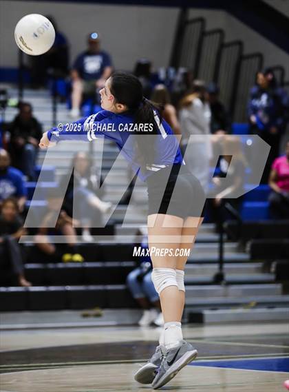Thumbnail 2 in JV: Basha @ Chandler photogallery.