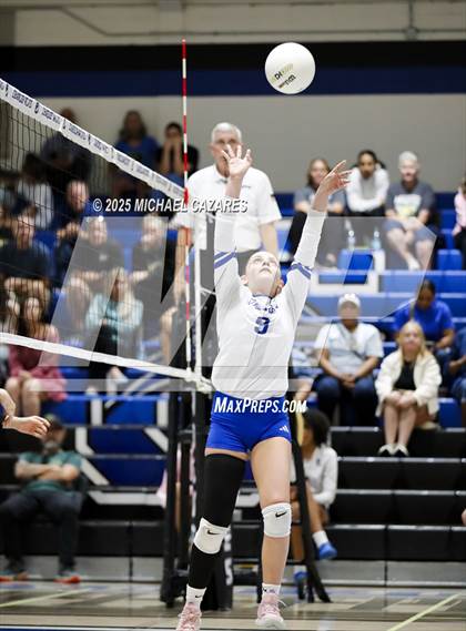 Thumbnail 3 in JV: Basha @ Chandler photogallery.