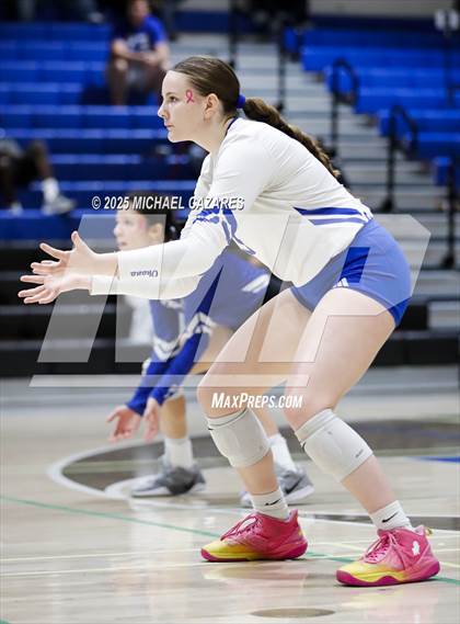 Thumbnail 1 in JV: Basha @ Chandler photogallery.