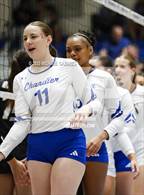 Photo from the gallery "Basha @ Chandler"