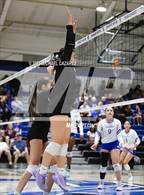 Photo from the gallery "Basha @ Chandler"