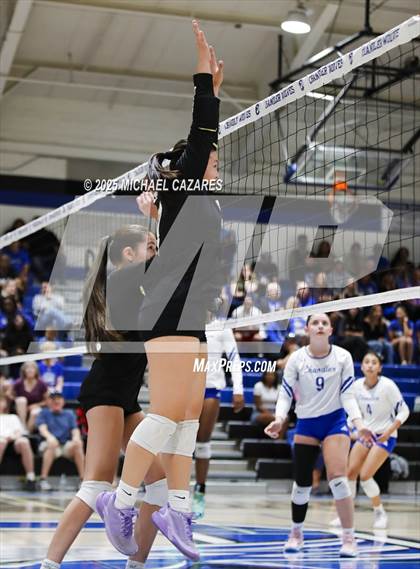 Thumbnail 3 in JV: Basha @ Chandler photogallery.